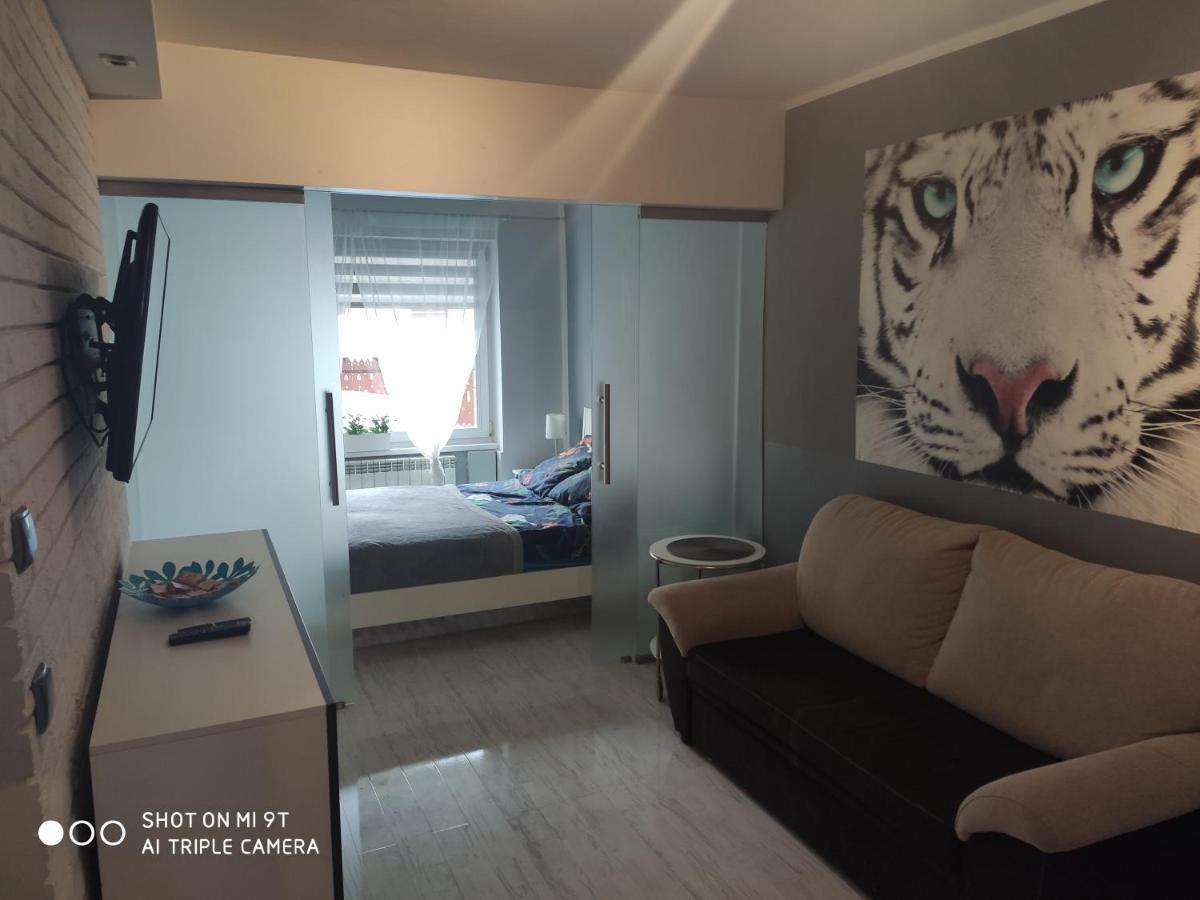 Apartament Tygrys Закопане Екстер'єр фото