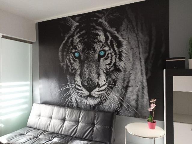 Apartament Tygrys Закопане Екстер'єр фото